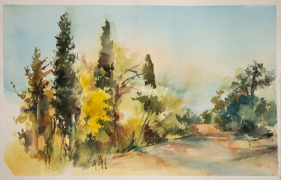 Carmel Forest - Landscape