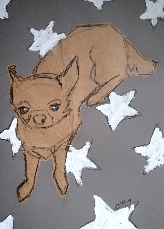 #64/24 Chihuahua