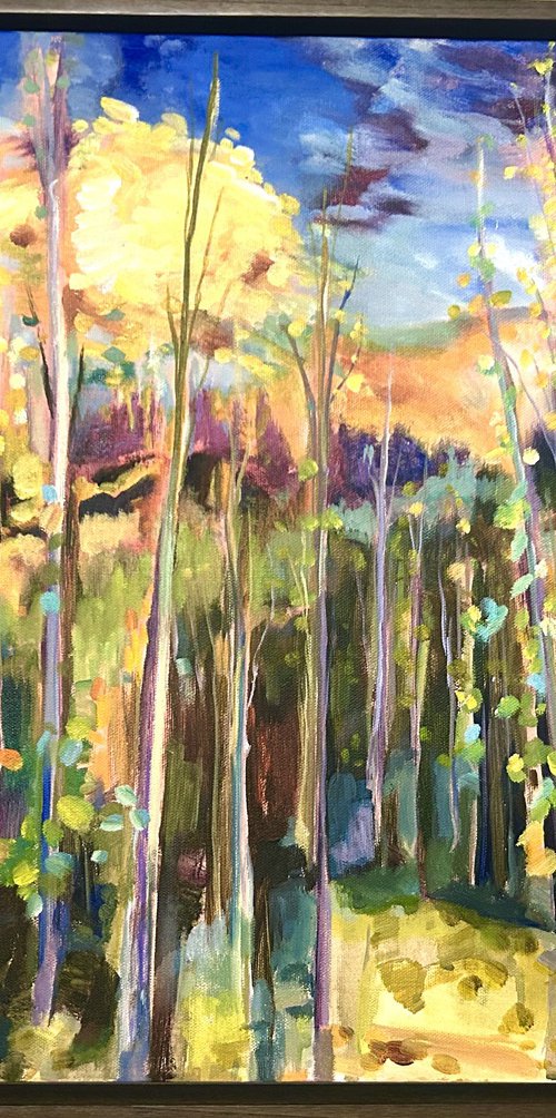 Color Your Way by Annette Wolters