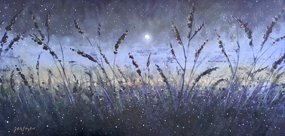 Moonlight's Song