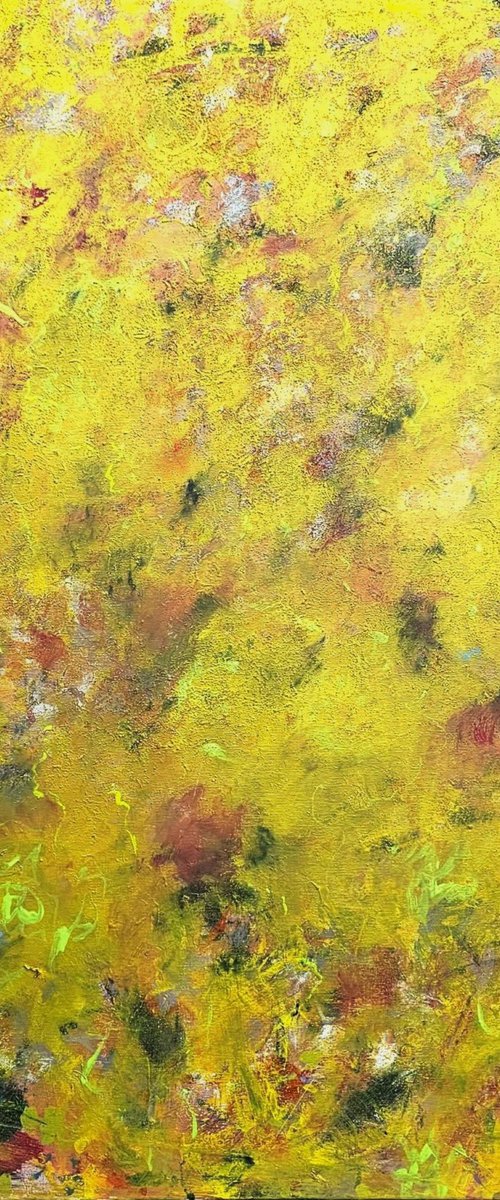 Garden in the Brain by Marian Gorin