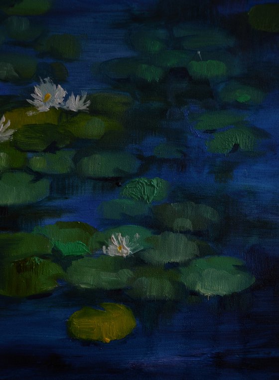 Lily pond. Sleeping