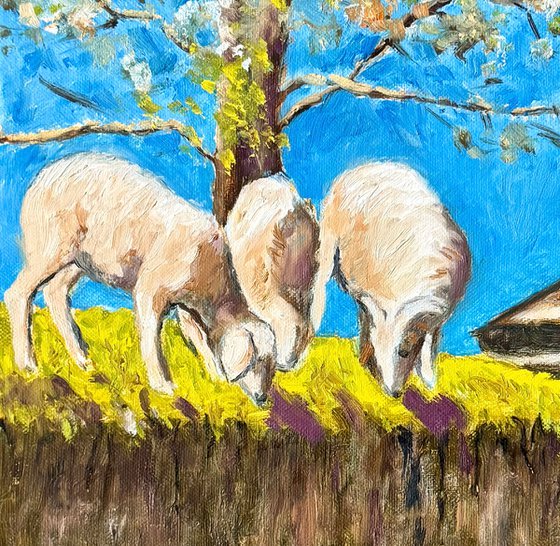 Sheep grazing under a tree