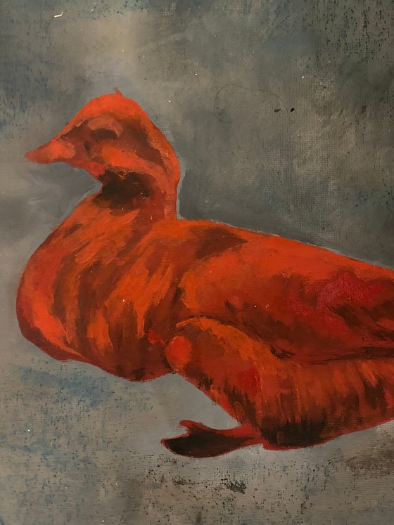Fluffy duck 30x30
