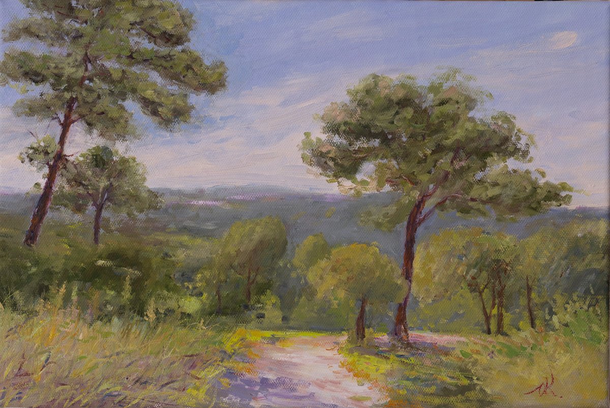 Carmel Mountain By Oleg Kamaev, 18 X 12, Artwork For Sale On Artfinder