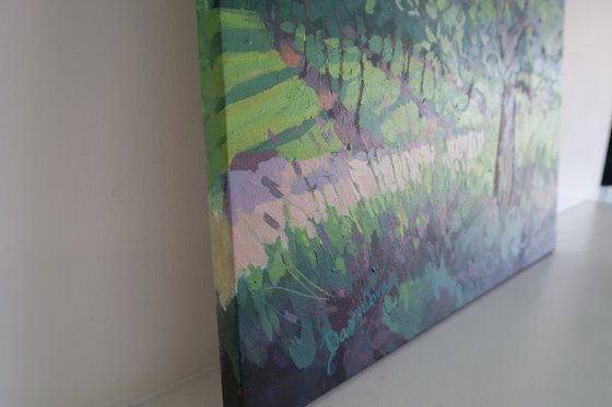 Olive Tree and Vineyard