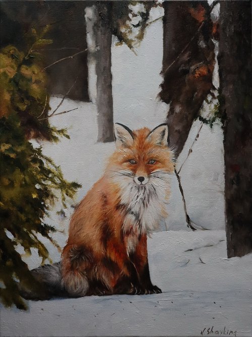 Red Fox Portrait Original Painting on Canvas - Winter Woodland Animal Wall Art by Natalia Shaykina