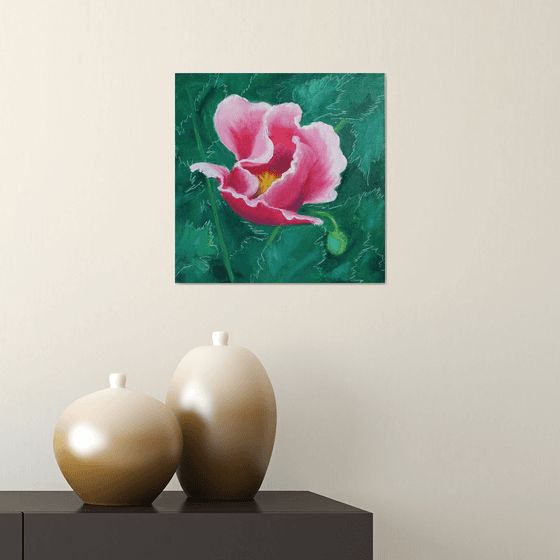 Pink Poppy - Flower portrait /  ORIGINAL PAINTING