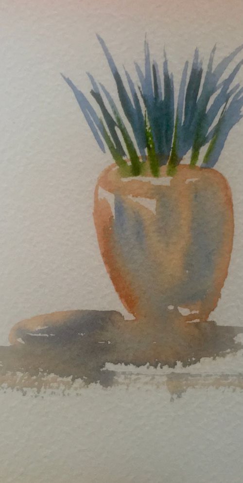 Sams pots by Samantha Adams