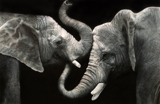 Elephants, blue grey large artwork