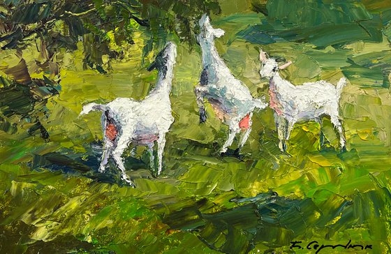 Summer Day on the Pasture