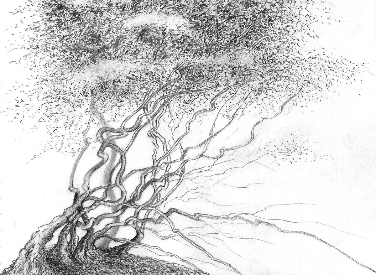 A series of Mystic Trees 09 by Julia Krastina