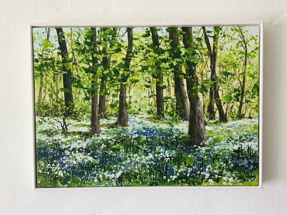 Wild Garlic and Bluebell Woods