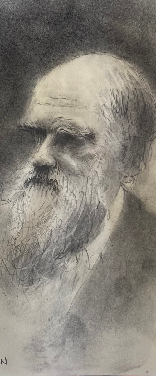 Charles Darwin by Paul Mitchell