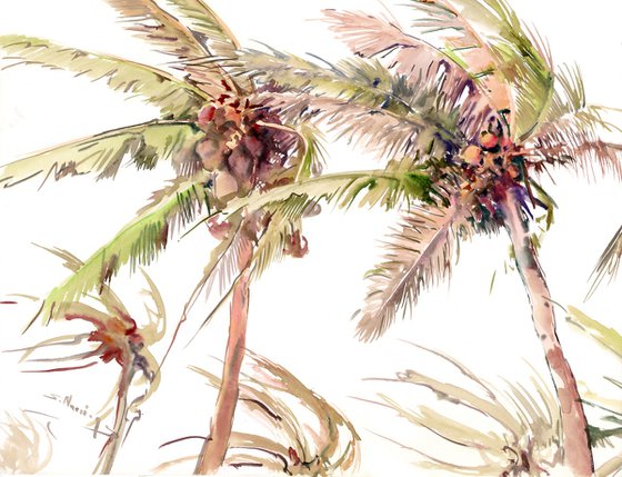Coconut Palms in the Wind