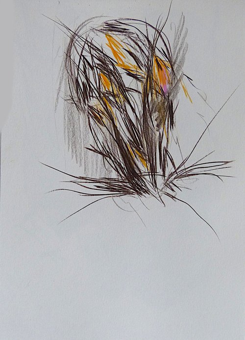 Expressive sketch, 29x21 cm - AF EXCLUSIVE + FREE shipping! by Frederic Belaubre