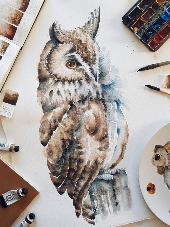 Long-eared Owl, wildlife, birds watercolours