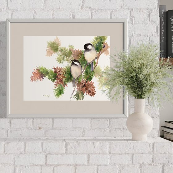 Chickadees and Pine
