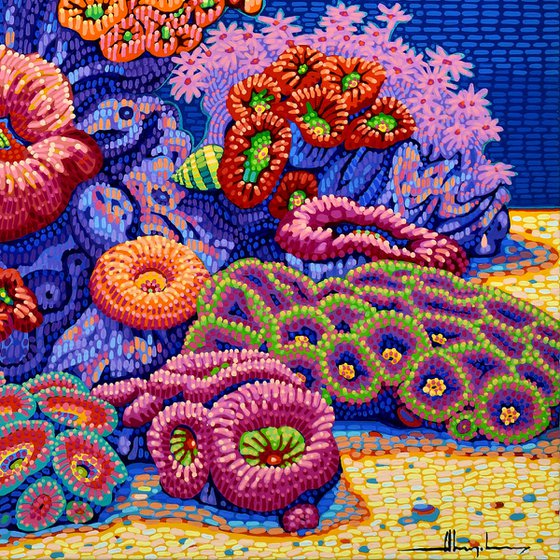 Coral Garden