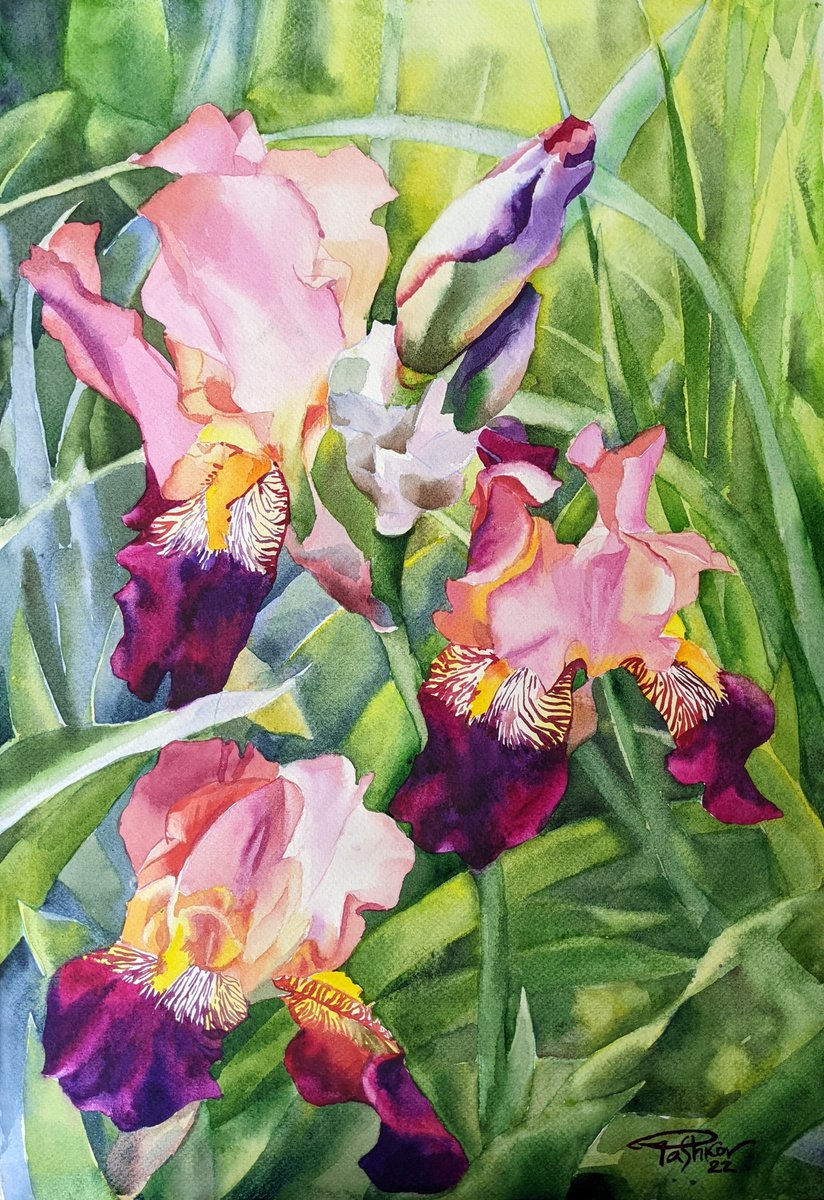 Impressionistic Botanical Watercolour By Yurii Pashkov, 15 X 22", Magenta Irises, Original Artwork
