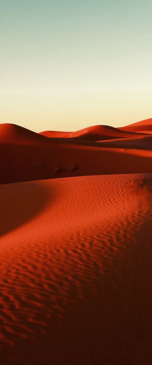 Desert Love by Nadia Attura
