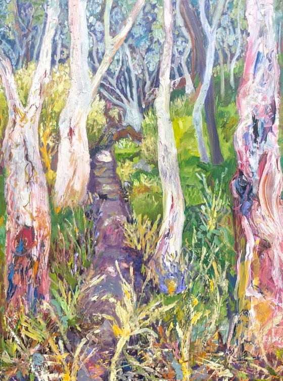 GUM TREES AND WATTLE BY THE CREEK
