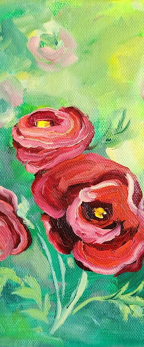 Ranunculus by Katrina Case