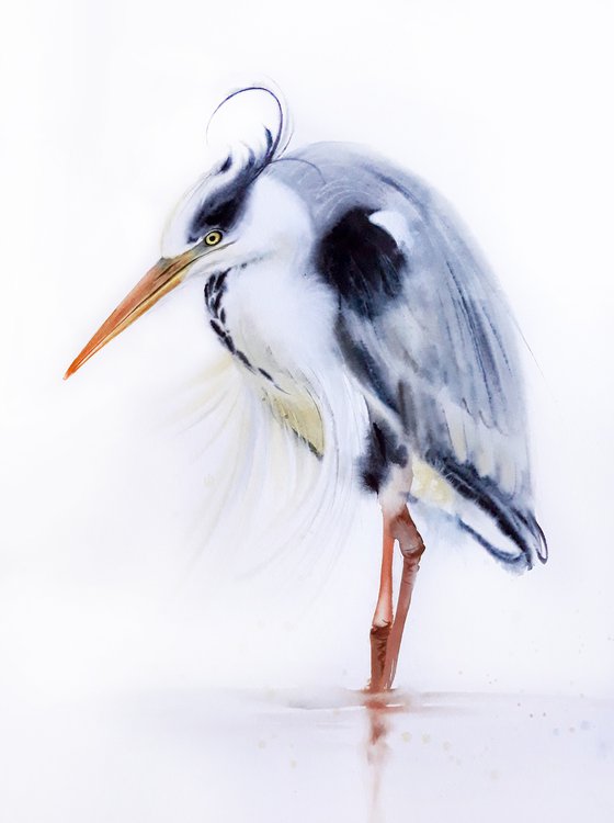 Grey heron -  19 x 25 in (50 x 65 cm) - Grey Heron Original Watercolor