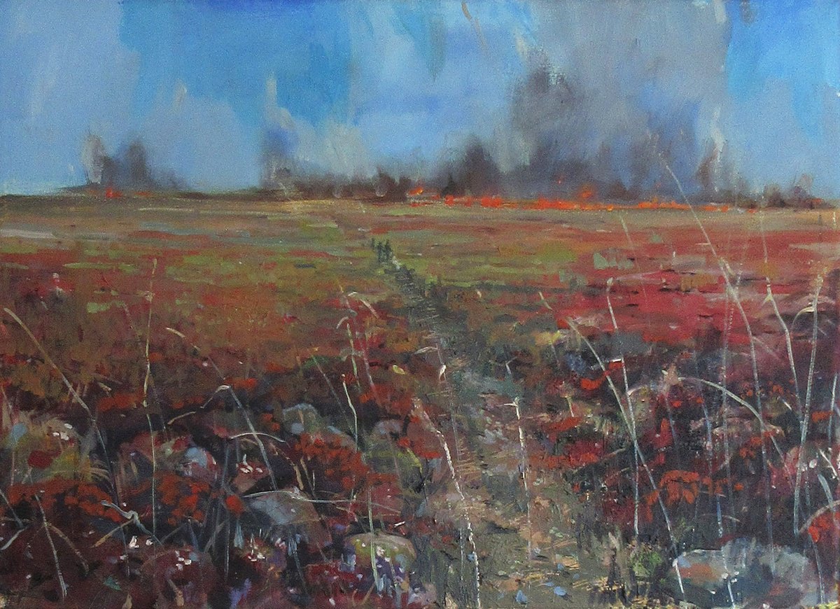 Moorland Fire by Alan Pergusey