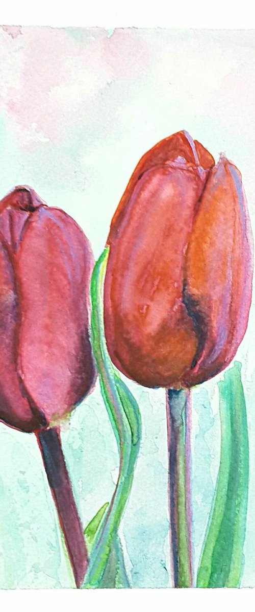 Tulips by Francesca Licchelli