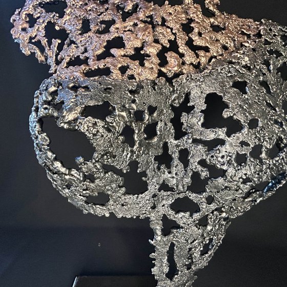 Belisama Sacred Andalusian