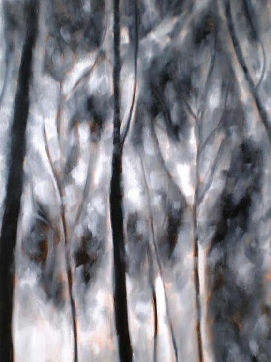 Mist in the Eucalyptus