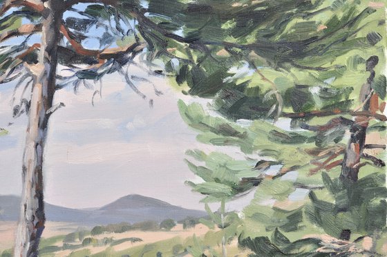 Mézenc, late summer