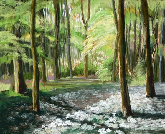 Wild Garlic Meander