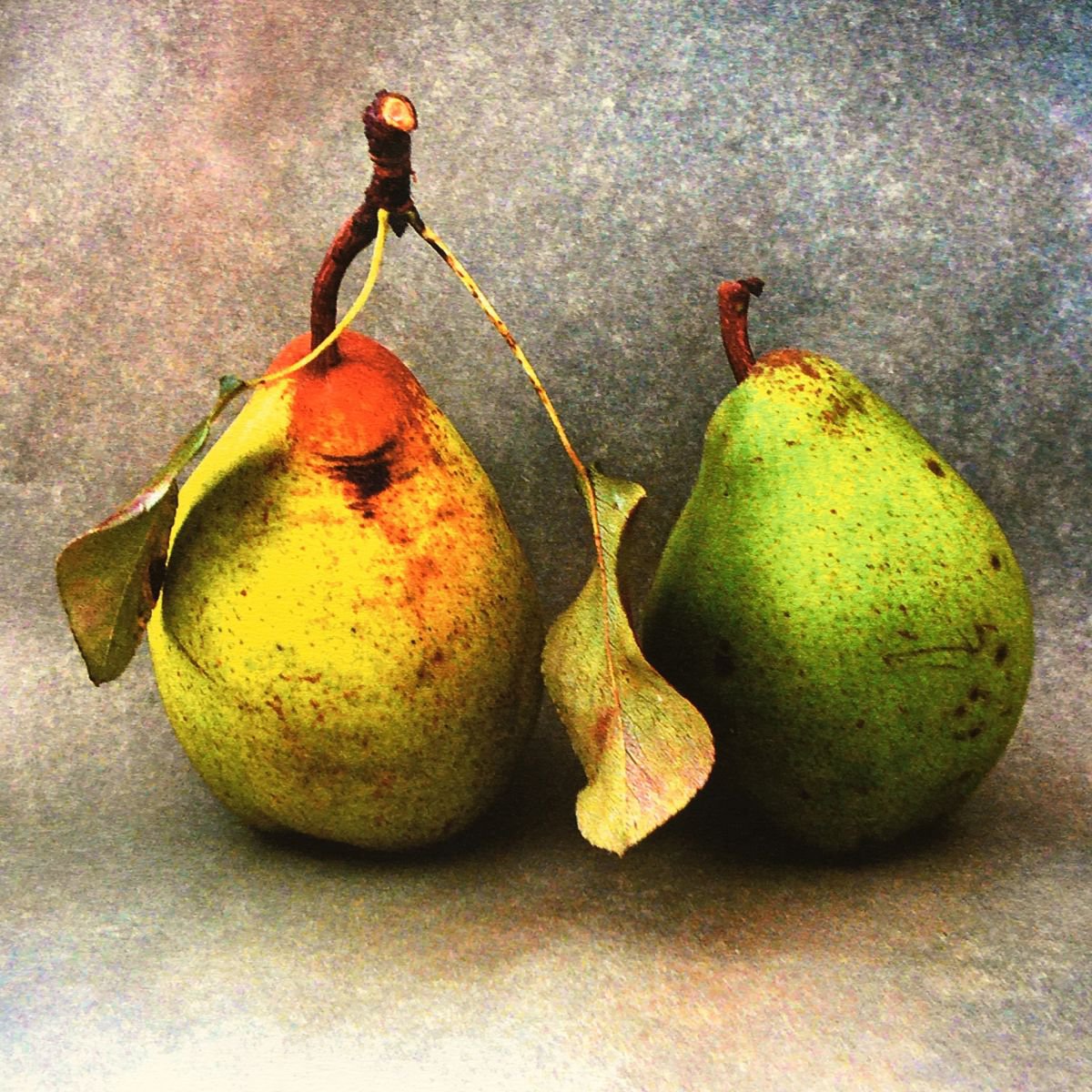 PEARS by SARAH PARSONS