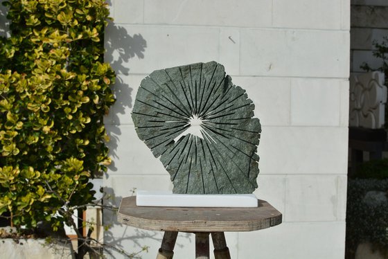 "Brilliance of Mind"