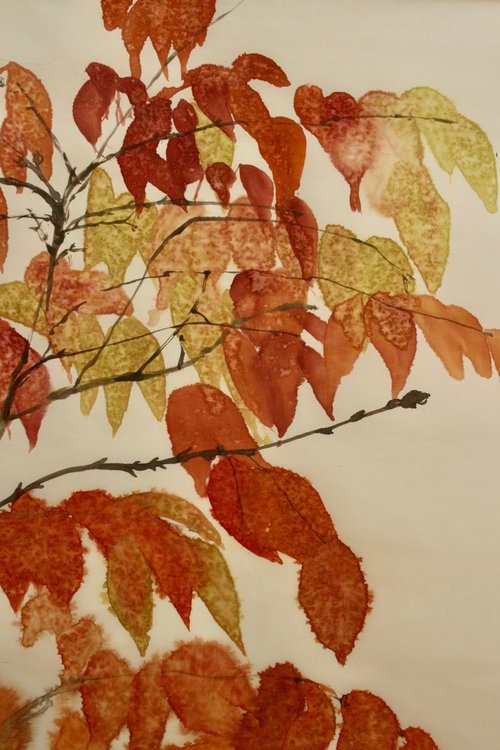 Autumn Cherry Tree in the Rain by Anne  McKenzie