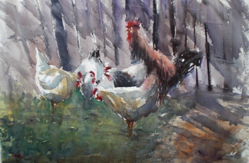 rooster and hens by Giorgio Gosti
