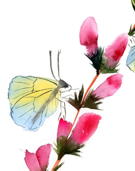Butterflies on the flower