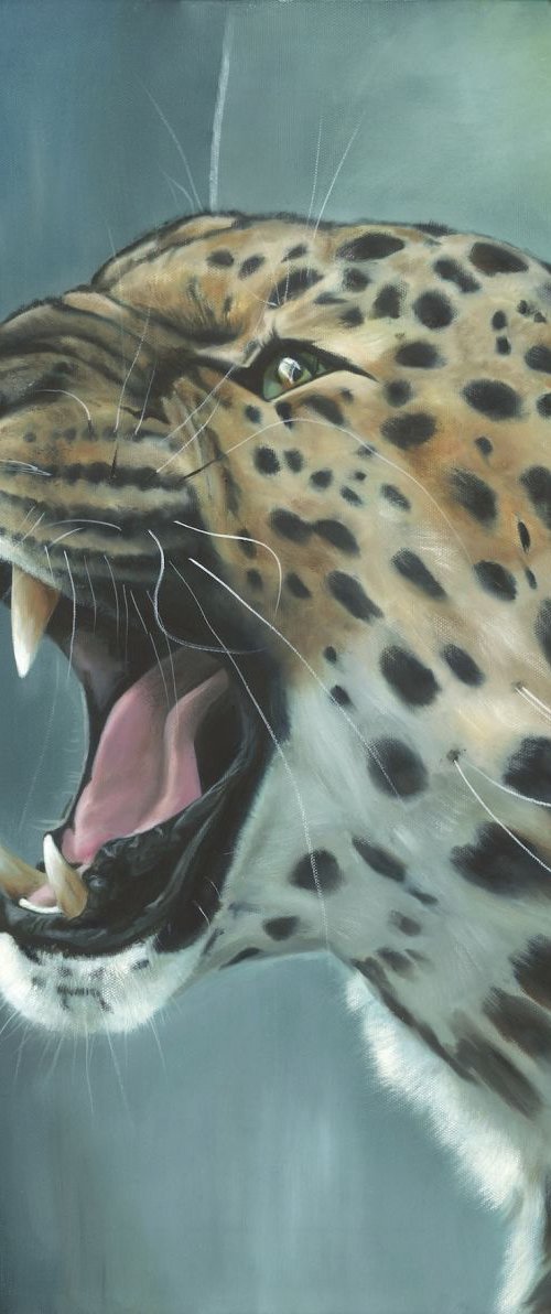 'Amur Leopard' by Nicola Colbran