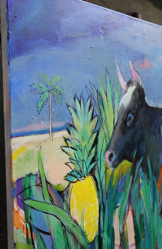 Cows Looking for Pineapples