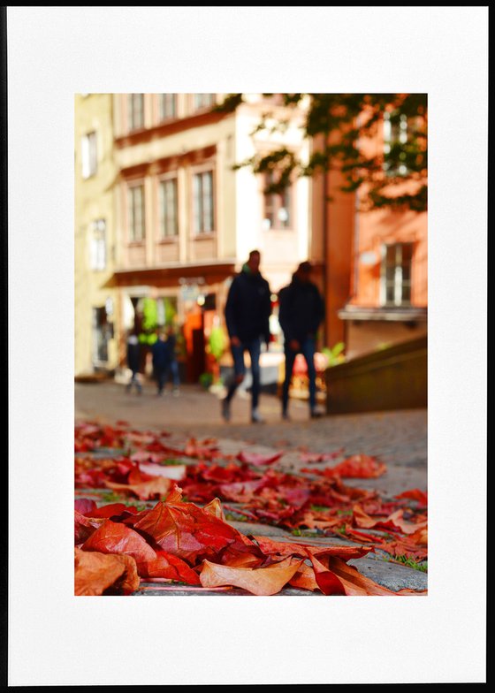 " Stockholm. Autumn Fairy tale " Limited Edition 1 / 15