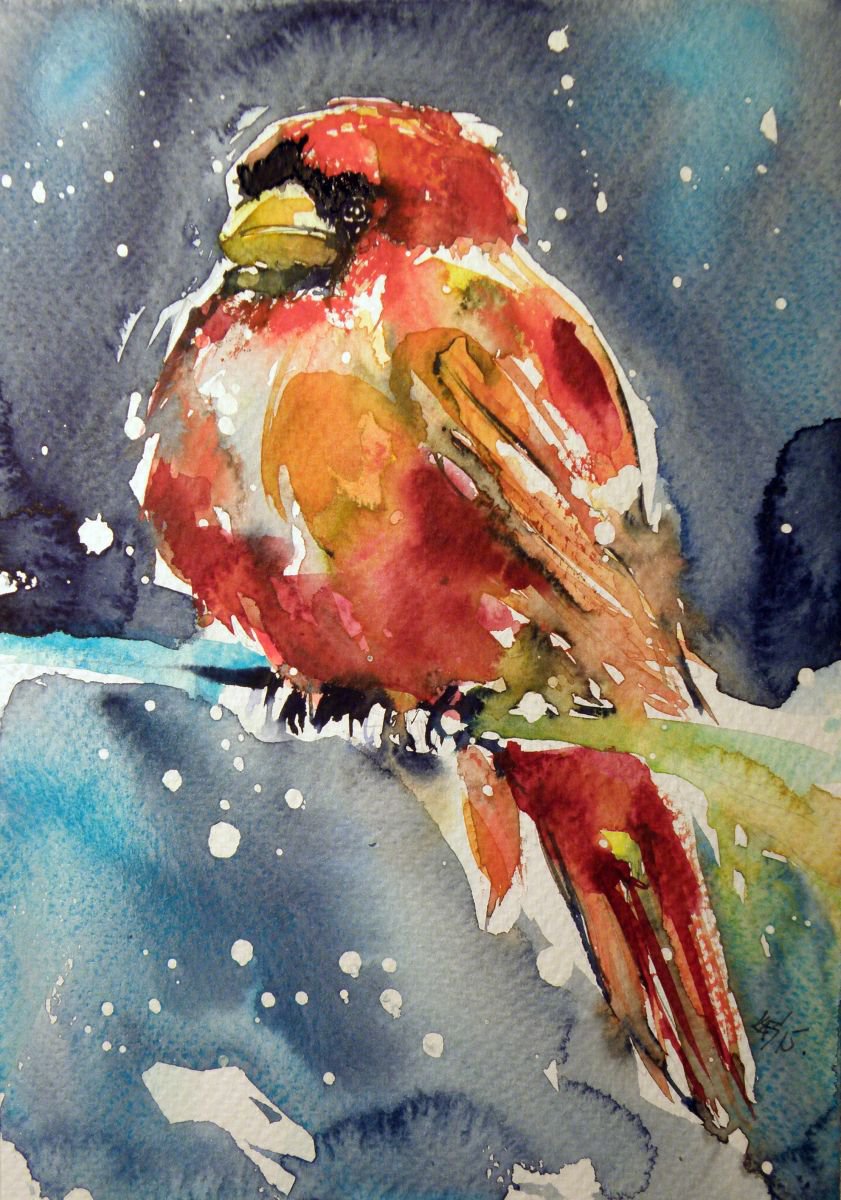 Cardinal bird by Kovcs Anna Brigitta
