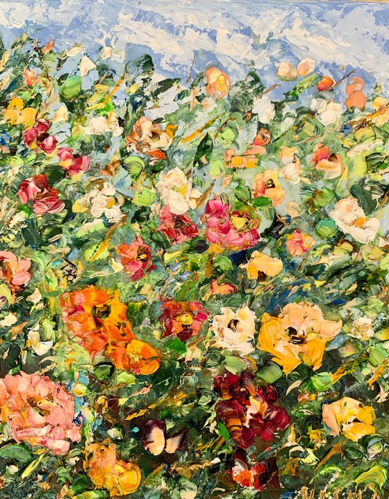 Strawflowers