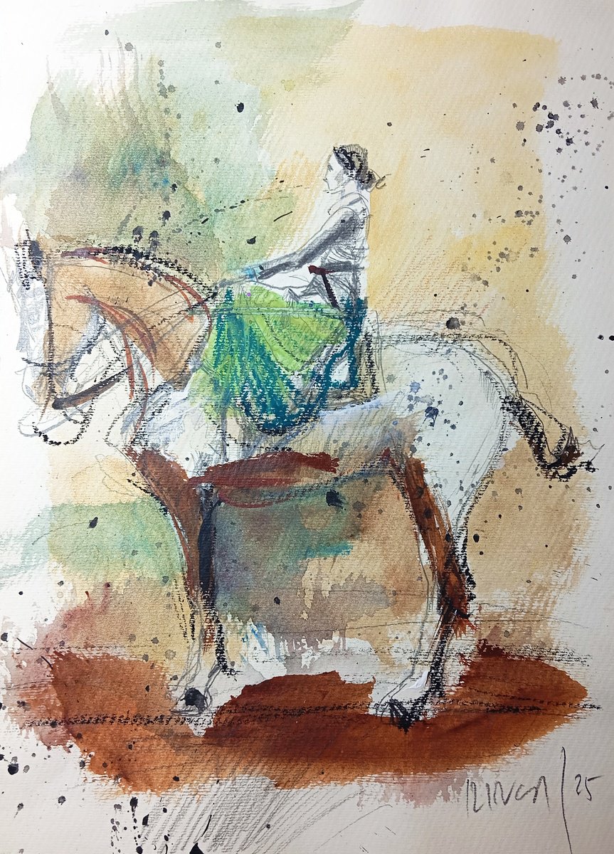 Impressionistic Watercolour , Equestrian Portrait By Catalin Ilinca, 12 X 16, Artwork For Sale On Artfinder