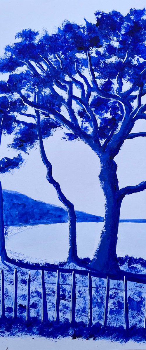 Palombaggia ultramarine by Cadiou Frederic