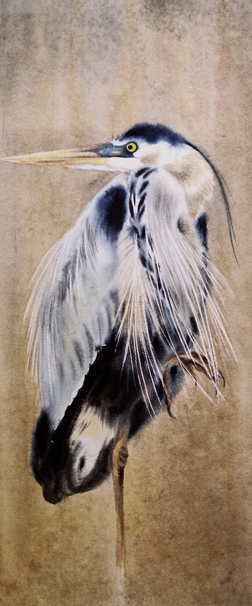 Grey heron  - Great Blue Heron by Olga Beliaeva Watercolour