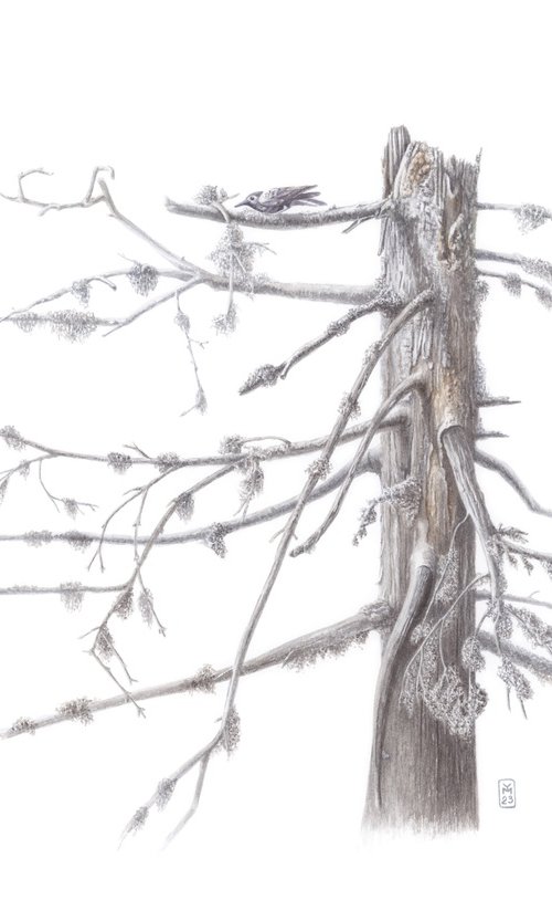 Dry Tree by Yuliia Moiseieva