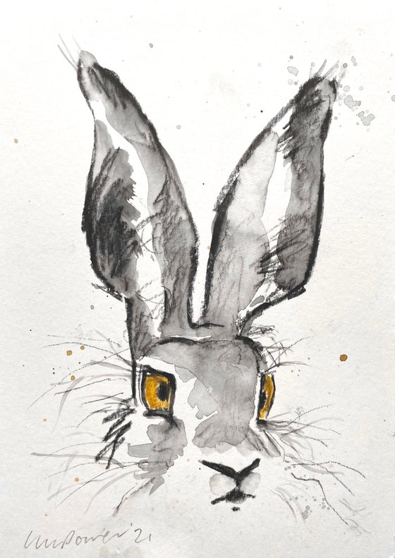 Watchful Charcoal Hare #02