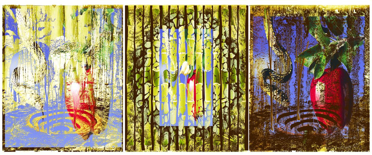 Triptych Nature opus 4 by Geert Lemmers FPA